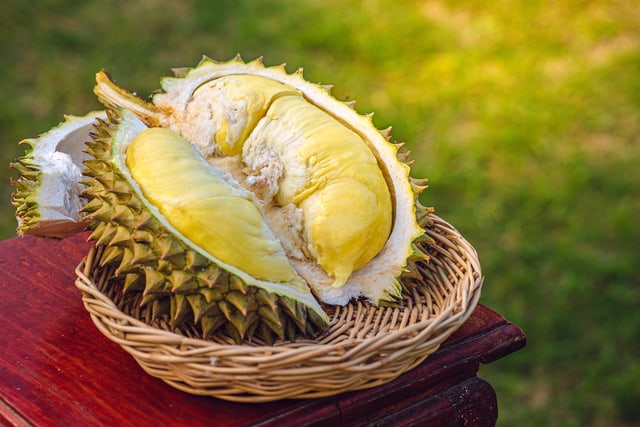 Khasiat buah durian - Ramai tahu makan je