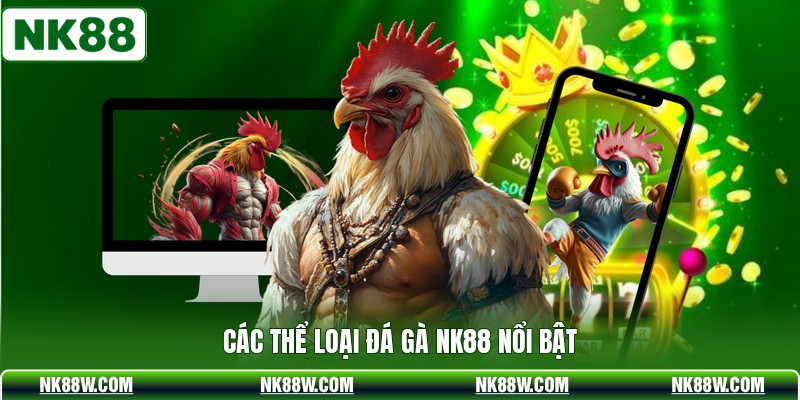 Các thể loại đá gà NK88 nổi bật