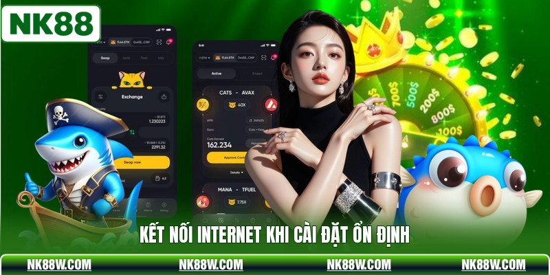 Kết nối internet khi cài đặt ổn định